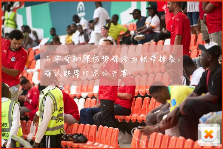 石宇奇脚踝伤势确诊为韧带撕裂，确认缺席印尼公开赛
